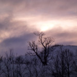 Polmak na styku granic