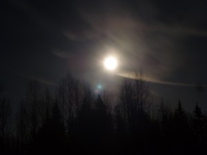 P1070268