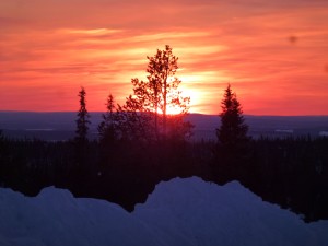 P1110647