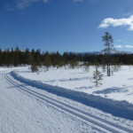 Pyha-Luosto trasy biegowe