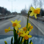 Jedzie wiosna, jedzie