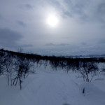 O przyrodzie raz jeszcze