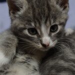 Zaproszamy na kolejne wędrowanie