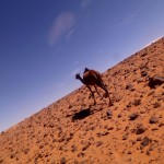 Przez pustynię bez GPS-a