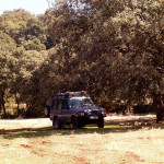 Nocleg w małpim gaju