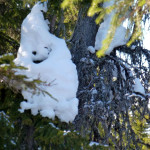 Kop do iścia swoją drogą