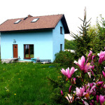 Do sprzedania nas niebieski domek