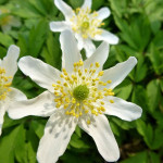 Wielkanoc 2014 Biebrza dlaczego?