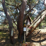 Promyczkowa kapliczka