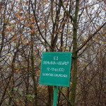 Radość spotkania – jesienny czas z monastyrkiem