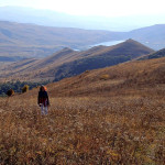 Serduszkowo-ziołowa górka