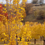 Palimy świeczki za naszych zmarłych w magicznym miejscu