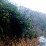 Sairme – prywatny zabetonowany kurort