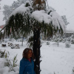 Atak zimy na czarnych plażach morza czarnego