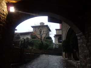 OLYMPUS DIGITAL CAMERA