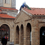 Z wizytą u świętego Neuma