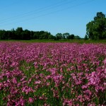 Ruszyliśmy na wschód