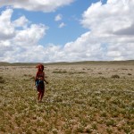 Szczypiorkowy step – stepie szeroki