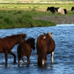 Mówisz i masz, życie rzeczki
