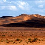 W zachwycie przez pustynię