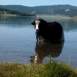 Chubsugul – młodszy brat Bajkału