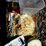 Przetwory w podróży