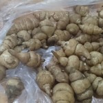 Warzywne ślimaki? Stachys affinis