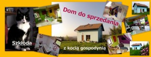 dom-witosa-mały