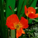 Nasza druga rocznica ślubu