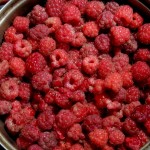 Pożegnanie z morzem Białym cudownym przyjacielem