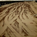 Pustynia na północy? U ujścia Warzugi