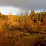 Jesień w Laponii nad “swoim” jeziorkiem