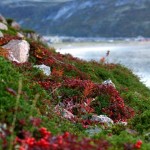 Na drodze wzrastania…23.11.2016 Narwa Joensu – Estonia