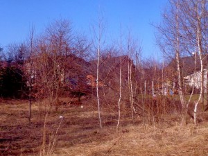 P1260585