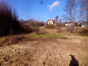 P1260599
