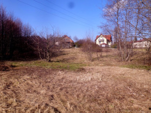 P1260600