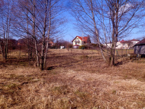 P1260601