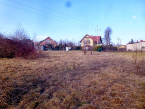 P1260604
