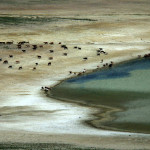 Klub podróżników “Namaste” opowieści z Mongolii