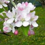 Słowackie kamienne kule i refleksje nad Wielkim Piątkiem