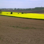 Szanuj jedzenie – dlaczego …..