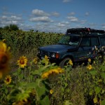 Sloneczkowe przesłanie