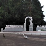 Żródełka i lasy Orłowskiego Polesia