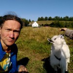 Czy w Rosji są czarnoziemy?