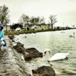 W poszukiwaniu wiosny cz.VII Balaton