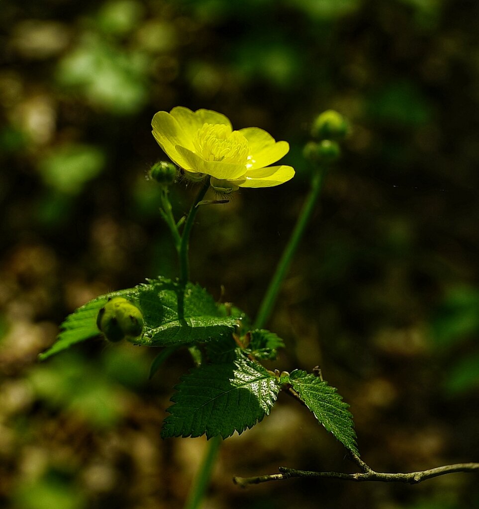 a100