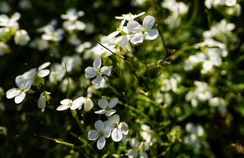 a103