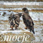 Rozmowy z Bogiem – Emocje cz. I