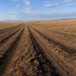Small Gobi – zobaczyć swój upór